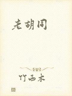 老胡同