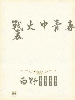战火中青春演员表封面