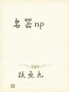 名器np