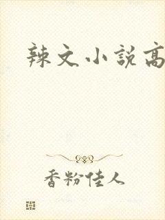 辣文小说高h