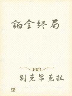 铂金终局