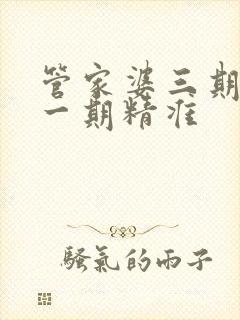 管家婆三期必开一期精准