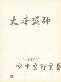 大唐盗帅