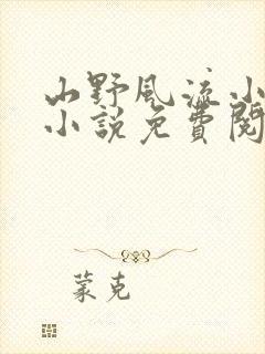 山野风流小神医小说免费阅读
