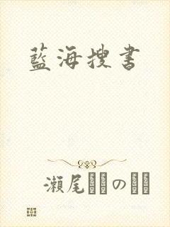 蓝海搜书封面