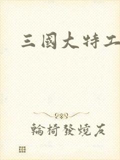 三国大特工