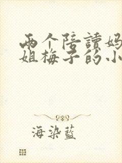 两个陪读妈妈赵姐梅子的小说
