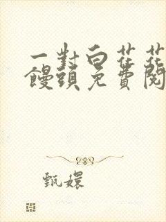 一对白花花的大馒头免费阅读