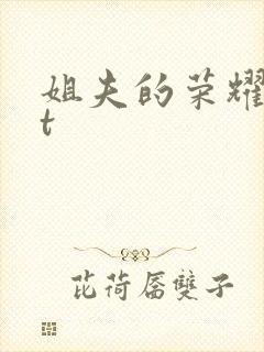 姐夫的荣耀txt