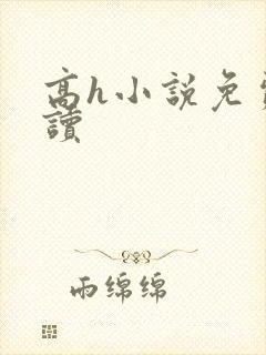 高h小说免费阅读封面