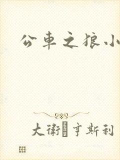 公车之狼小说