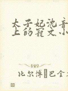 太子妃沈音和皇上的宠文小说封面