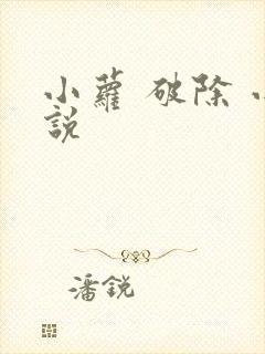 小萝 破除 小说封面