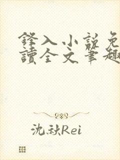 锋入小说免费阅读全文笔趣阁封面