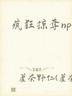 疯狂掠夺npc