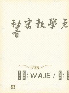 秘密教学免费观看封面