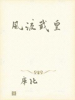 风流武皇