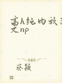 高h纯肉放荡h文np
