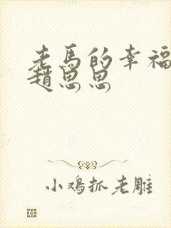 老马的幸福生活赵思思