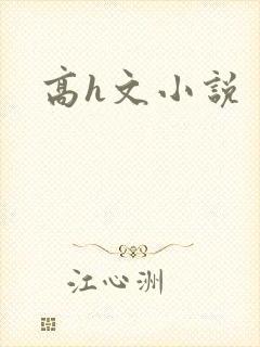高h文小说