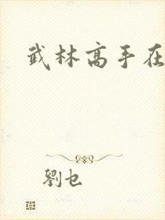 武林高手在异界封面
