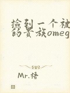 捡到一个被抹布的贵族omega封面