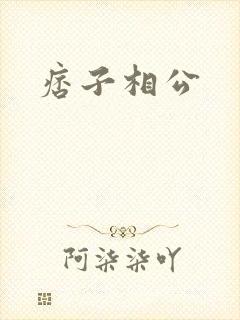 痞子相公封面