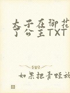 太子在御花园要了公主TXT封面