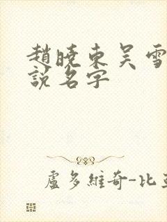 赵晓东吴雪晴小说名字