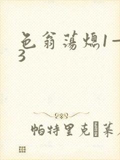 色翁荡熄1—13封面