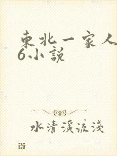 东北一家人1一6小说