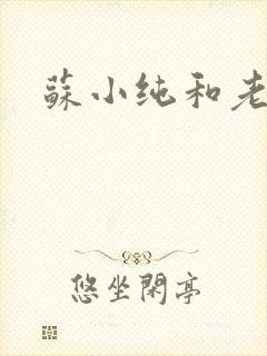 苏小纯和老苏