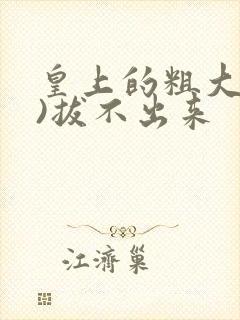 皇上的粗大(h)拔不出来