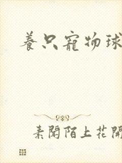 养只宠物球