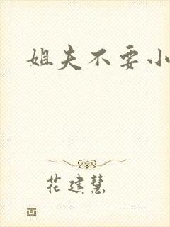 姐夫不要小说