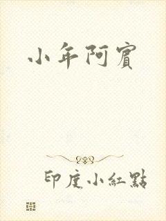 小年阿宾封面
