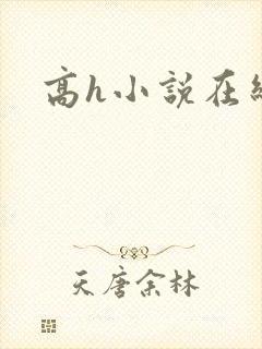 高h小说在线看