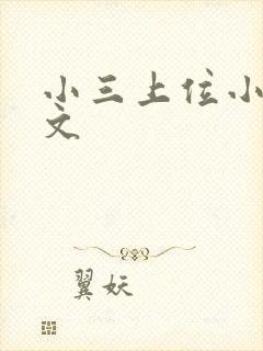 小三上位小说全文