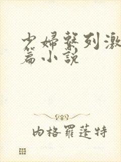 少妇系列激情短篇小说封面