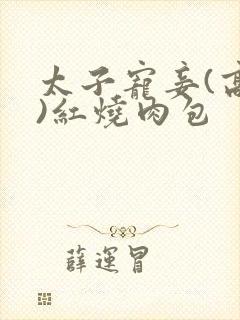 太子宠妾(高肉)红烧肉包
