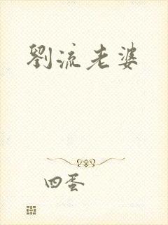 刘流老婆