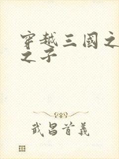 穿越三国之袁绍之子封面