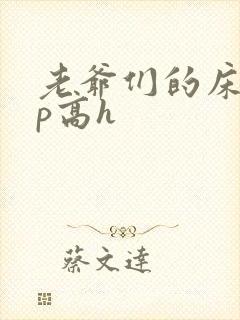 老爷们的床奴np高h