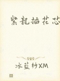 紫龙插花芯