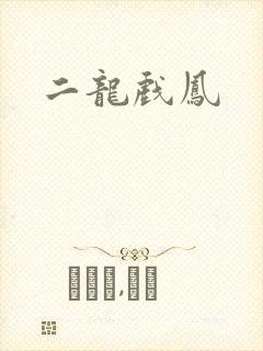 二龙戏凤