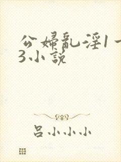 公妇乱淫1一13小说封面