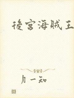 后宫海贼王