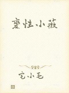 变性小薇封面