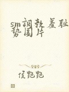sm调教羞耻姿势图片封面