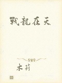 战龙在天封面